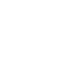 Numalliance avion